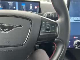 Ford Mustang Mach-E (2022) thumbnail 16