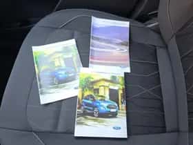 Ford EcoSport (2020) thumbnail 25