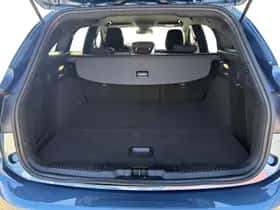 Ford Focus (2024) thumbnail 14