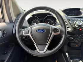 Ford EcoSport (2017) thumbnail 17