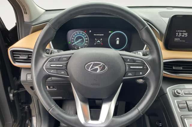 Hyundai Santa Fe (2021) thumbnail 17