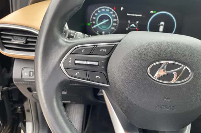 Hyundai Santa Fe (2021) thumbnail 18