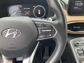 Hyundai Santa Fe (2021) thumbnail 19