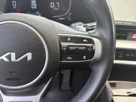 Kia Sportage (2022) thumbnail 19