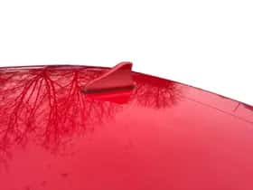 Kia Picanto (2020) thumbnail 25