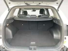 Kia Sportage (2024) thumbnail 33