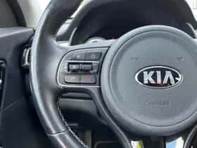 Kia Niro (2017) thumbnail 14