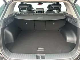 Kia Sportage (2025) thumbnail 29