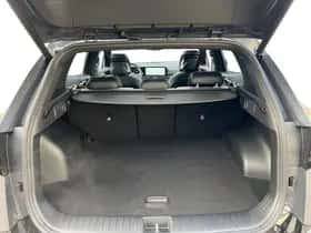 Kia Sportage (2025) thumbnail 11