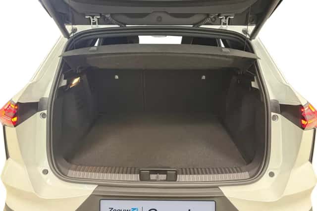 Mitsubishi Grandis (2026) thumbnail 23