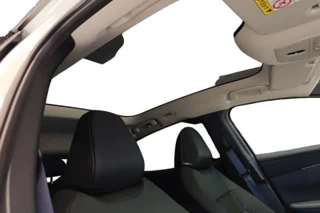 Nissan Leaf (2026) thumbnail 19