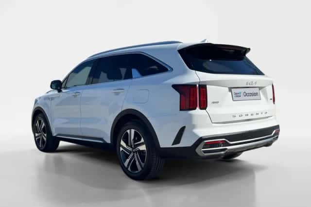 Kia Sorento (2021) thumbnail 19