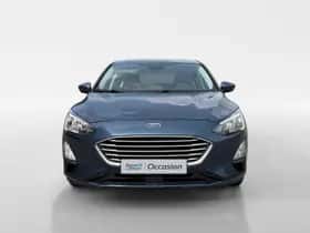 Ford Focus (2019) thumbnail 2