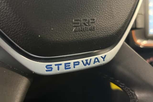 Dacia Sandero Stepway (2018) thumbnail 17