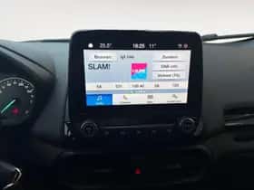 Ford EcoSport (2022) thumbnail 19