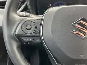 Suzuki Swace (2024) thumbnail 19