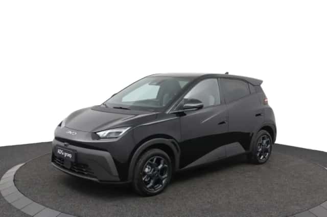 BYD Dolphin Surf (2026) thumbnail 1