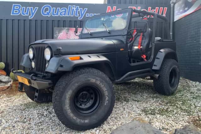 Jeep Wrangler (1994) thumbnail 2
