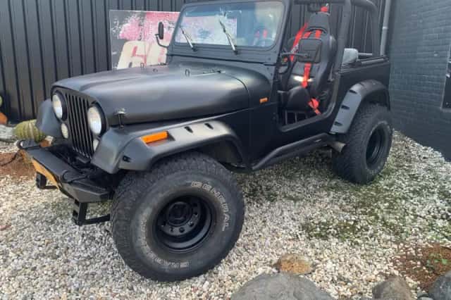 Jeep Wrangler (1994) thumbnail 4