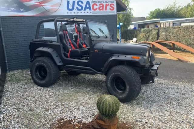 Jeep Wrangler (1994) thumbnail 5