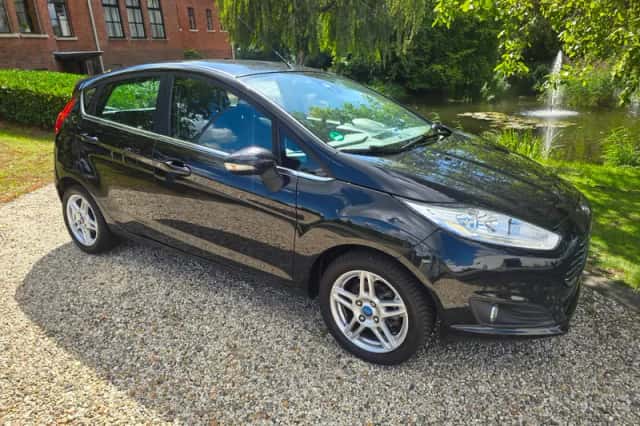 Ford Fiesta (2015) thumbnail 1
