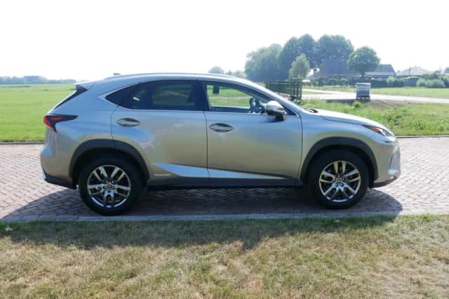 Lexus NX (2020) thumbnail 6