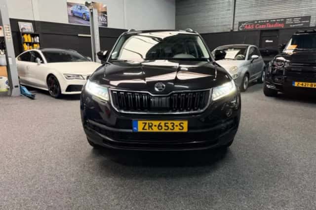 Škoda Kodiaq (2019) thumbnail 1
