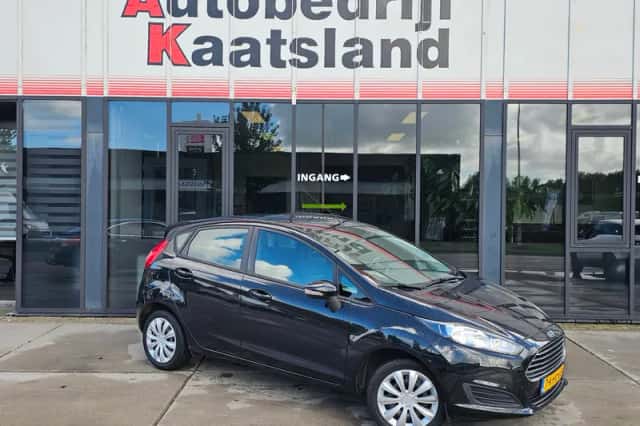 Ford Fiesta (2013) thumbnail 1