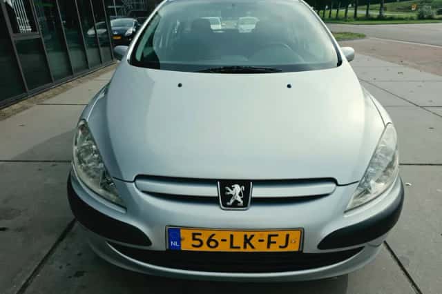 Peugeot 307 (2003) thumbnail 2