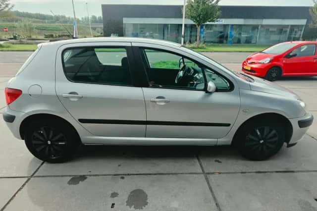 Peugeot 307 (2003) thumbnail 5