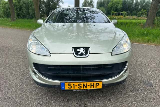 Peugeot 407 (2006) thumbnail 2