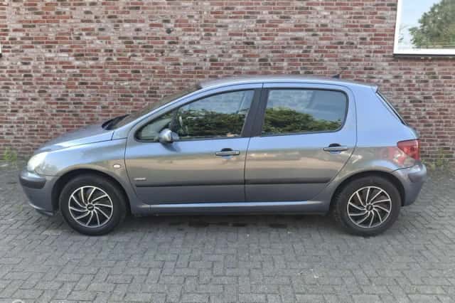 Peugeot 307 (2004) thumbnail 2