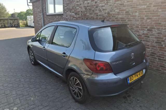 Peugeot 307 (2004) thumbnail 3