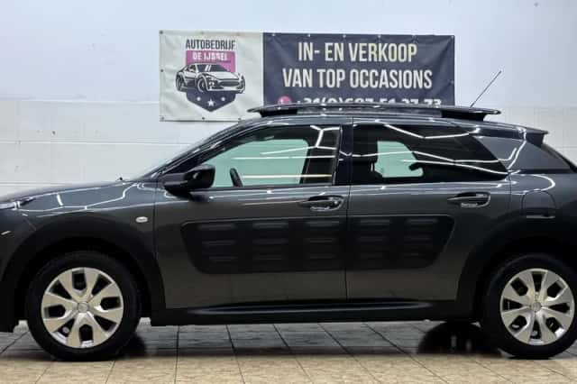 Citroën C4 Cactus (2015) thumbnail 2