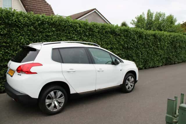 Peugeot 2008 (2015) thumbnail 4