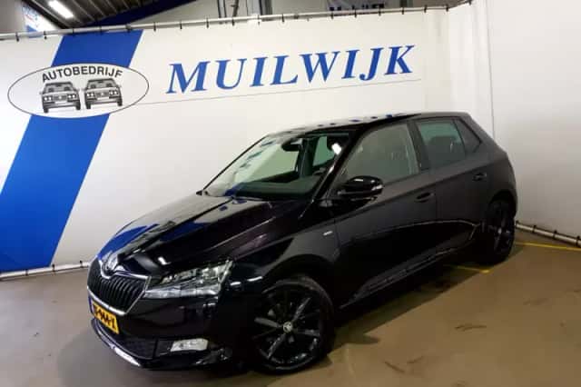 Škoda Fabia (2019) thumbnail 6