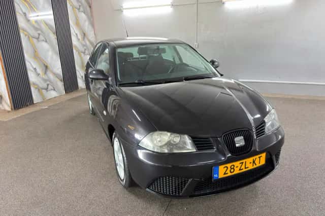 SEAT Ibiza (2008) thumbnail 2