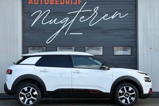 Citroën C4 Cactus (2019) thumbnail 3