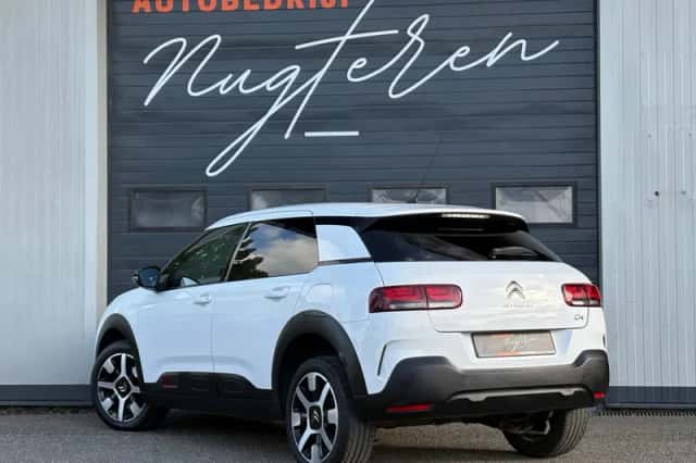 Citroën C4 Cactus (2019) thumbnail 4