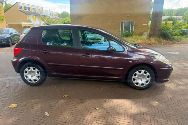 Peugeot 307 (2006) thumbnail 2