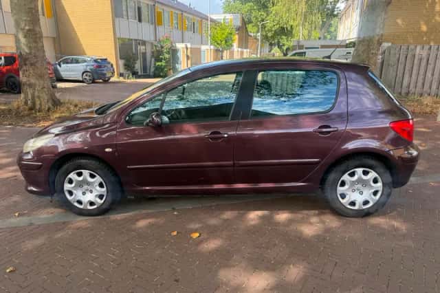 Peugeot 307 (2006) thumbnail 6