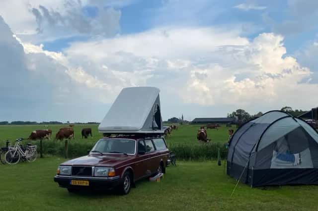 Volvo 245 (1983) thumbnail 6