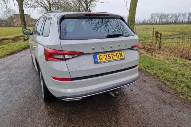 Škoda Kodiaq (2019) thumbnail 3