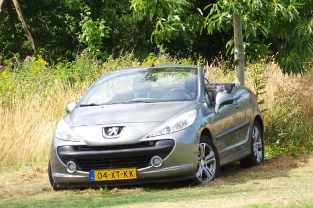 Peugeot 207 (2007) thumbnail 1