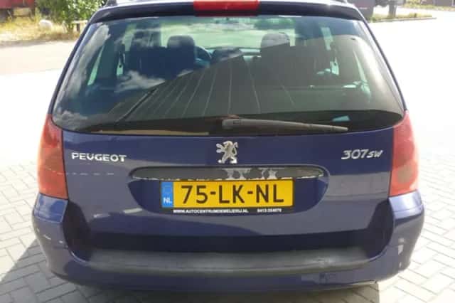 Peugeot 307 (2003) thumbnail 4