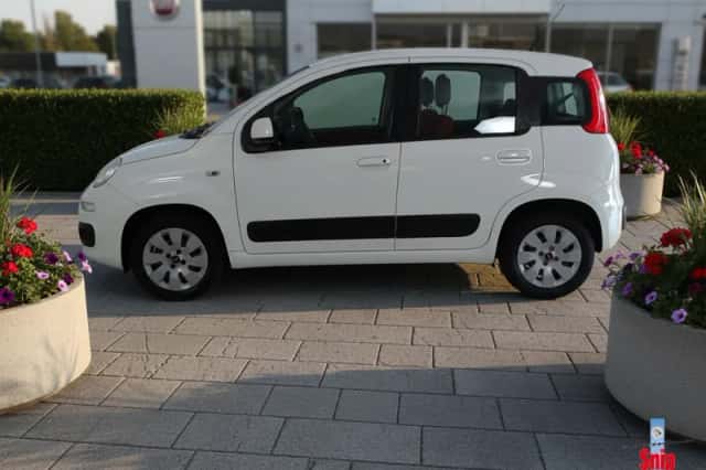 Fiat Panda (2017) thumbnail 6