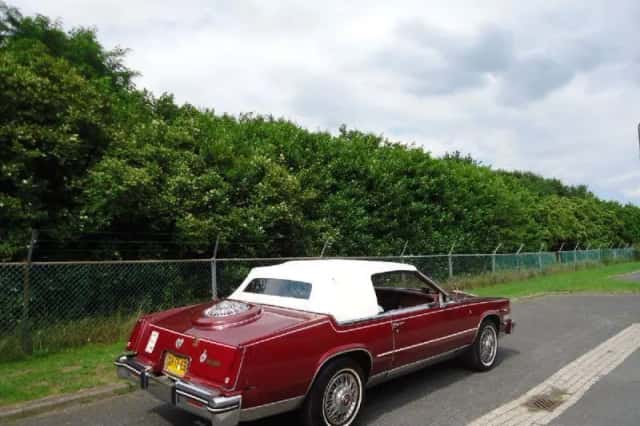 Cadillac Eldorado (1984) thumbnail 5
