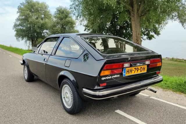 Alfa Romeo Alfasud (1981) thumbnail 4