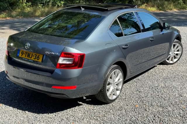 Škoda Octavia (2014) thumbnail 5