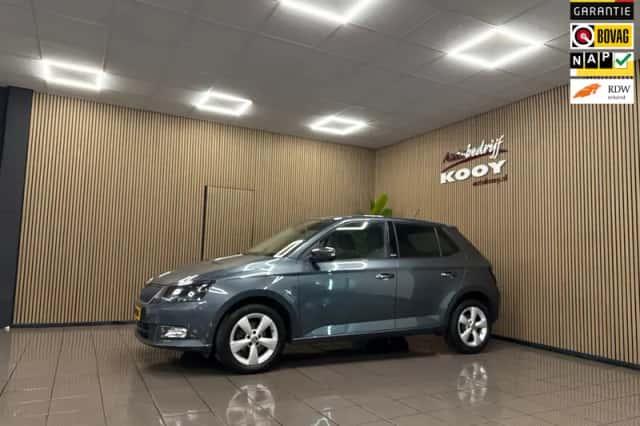 Škoda Fabia (2016) thumbnail 1